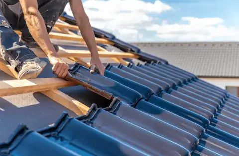 Couverture - Piégut Pluviers